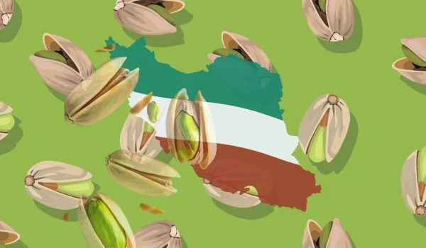 iranian jumbo pistachio