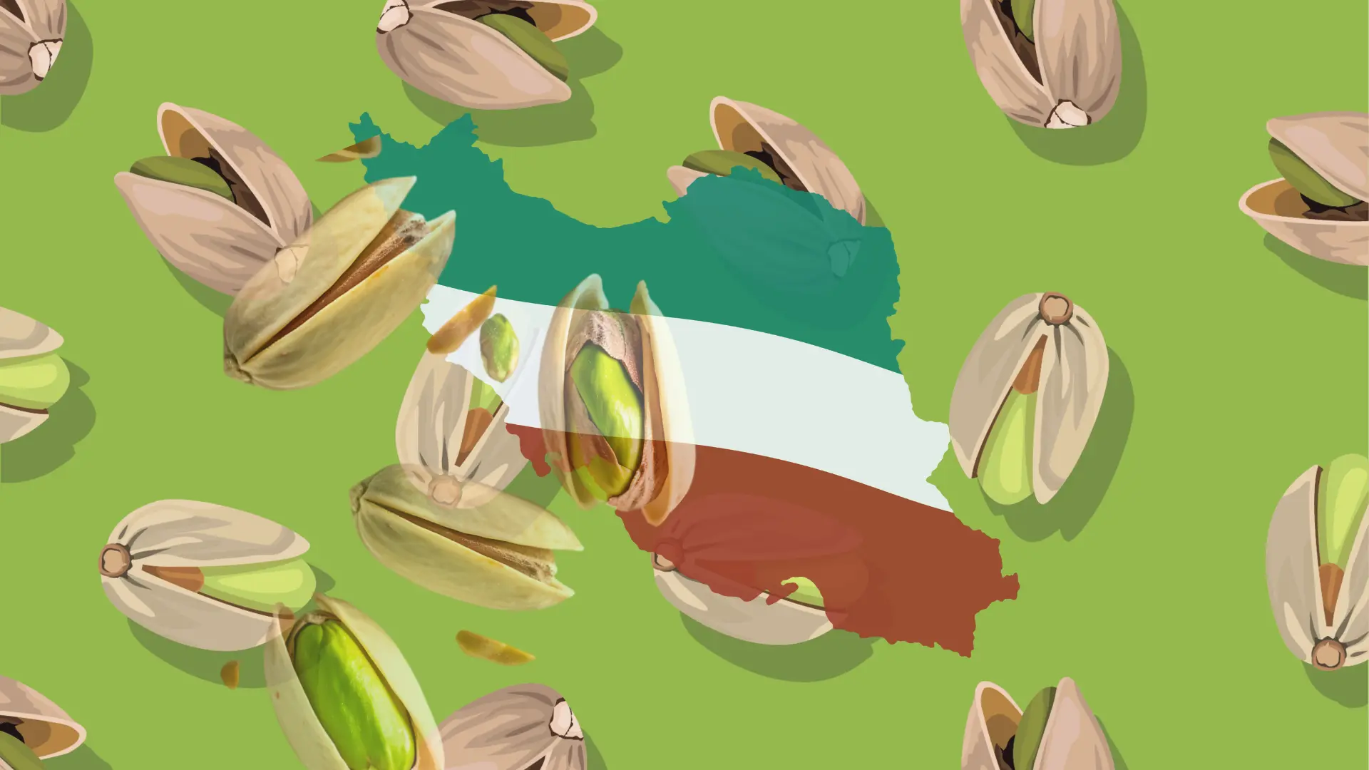 iranian jumbo pistachio