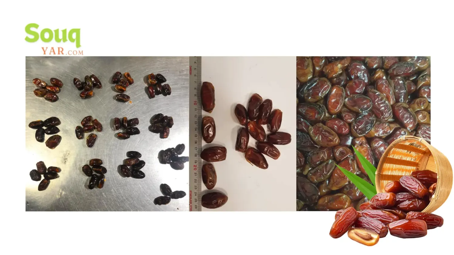 iranian sayer date