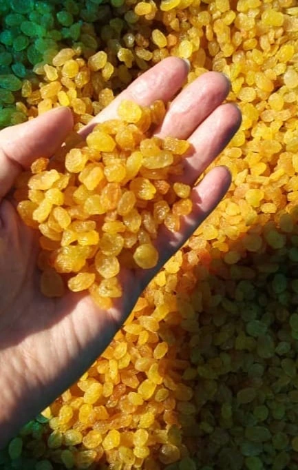 golden raisins